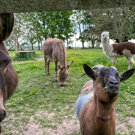 In Chateau Grounds Near Rouen