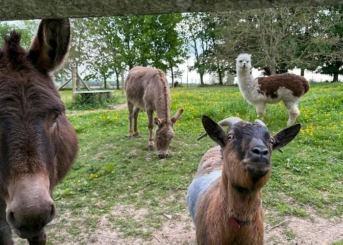 In Chateau Grounds Near Rouen
